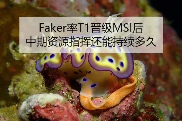 Faker率T1晋级MSI后中期资源指挥还能持续多久